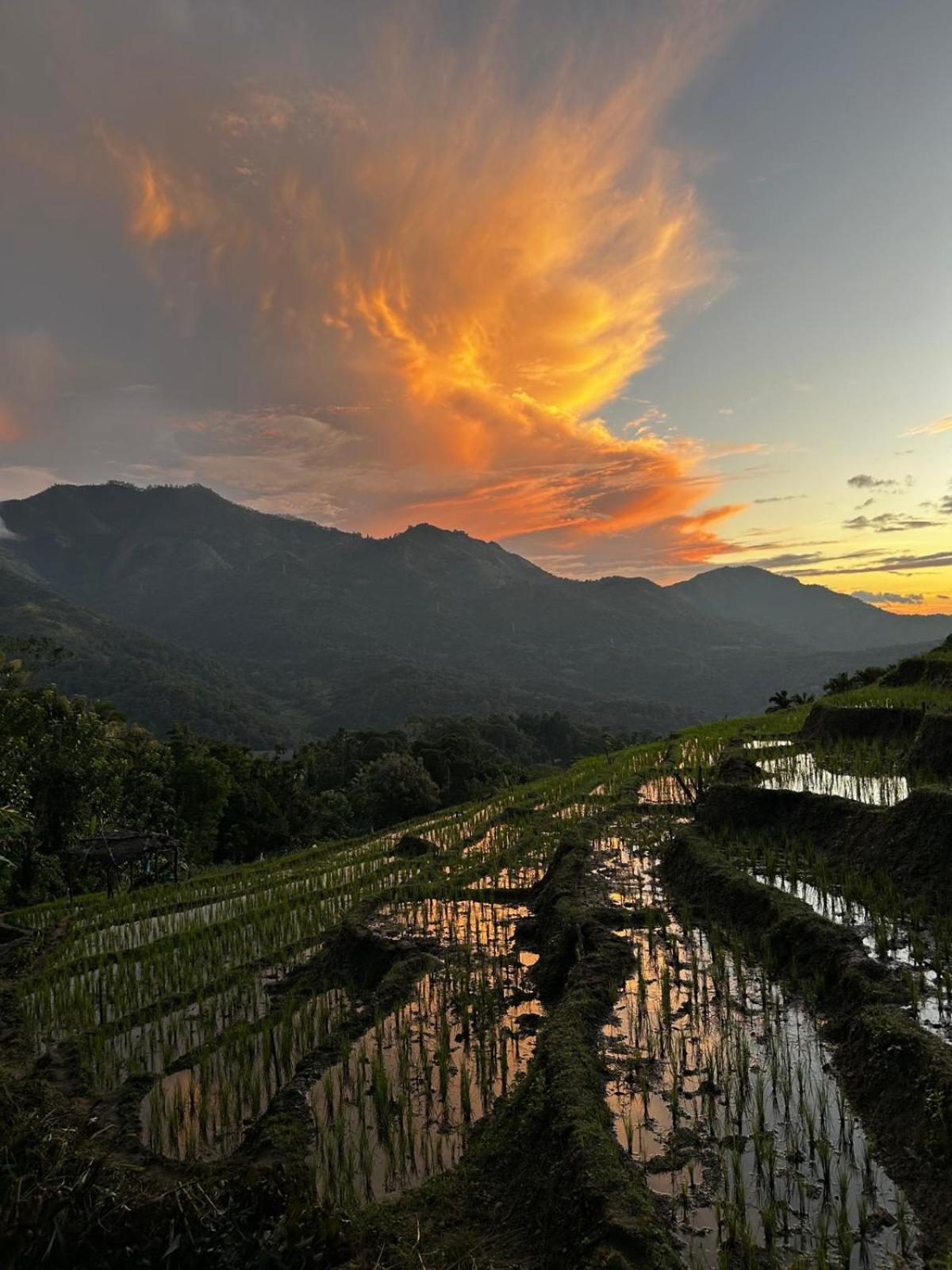 Kingdom Of Rustic Ella Villa Exterior foto